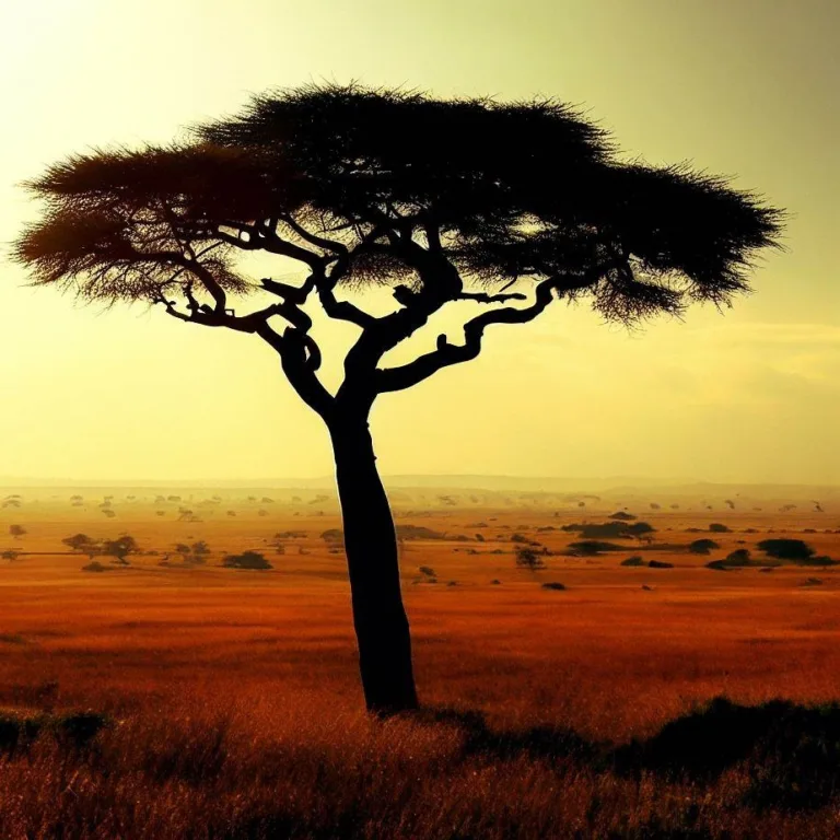 Serengeti Park - Exploring the Majesty of Nature